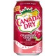 Canada Dry Cranberry ginger ALE